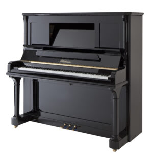 Blüthner – ideale Wahl für ambitionierte Pianisten