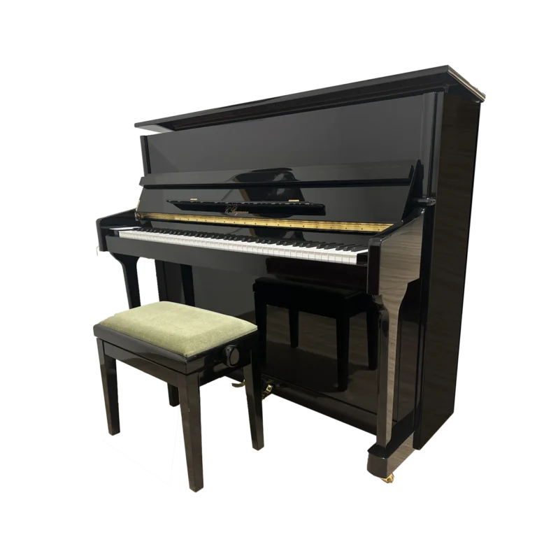 c-bergmann_mod-118_schwarz-poliert