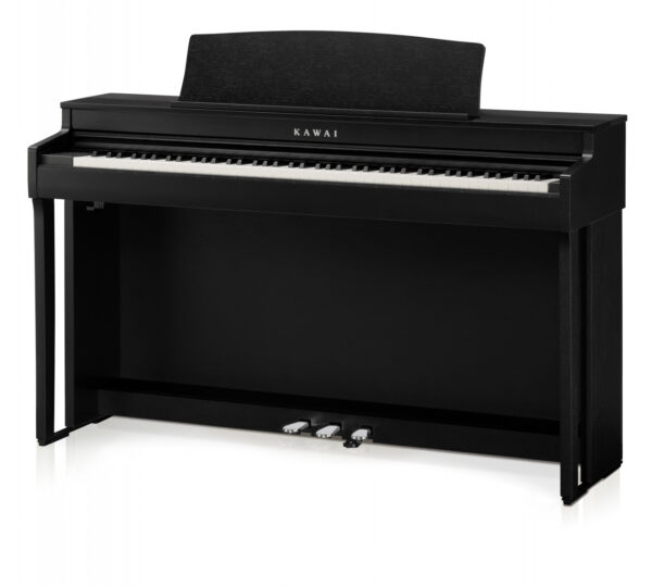 Kawai CN 301